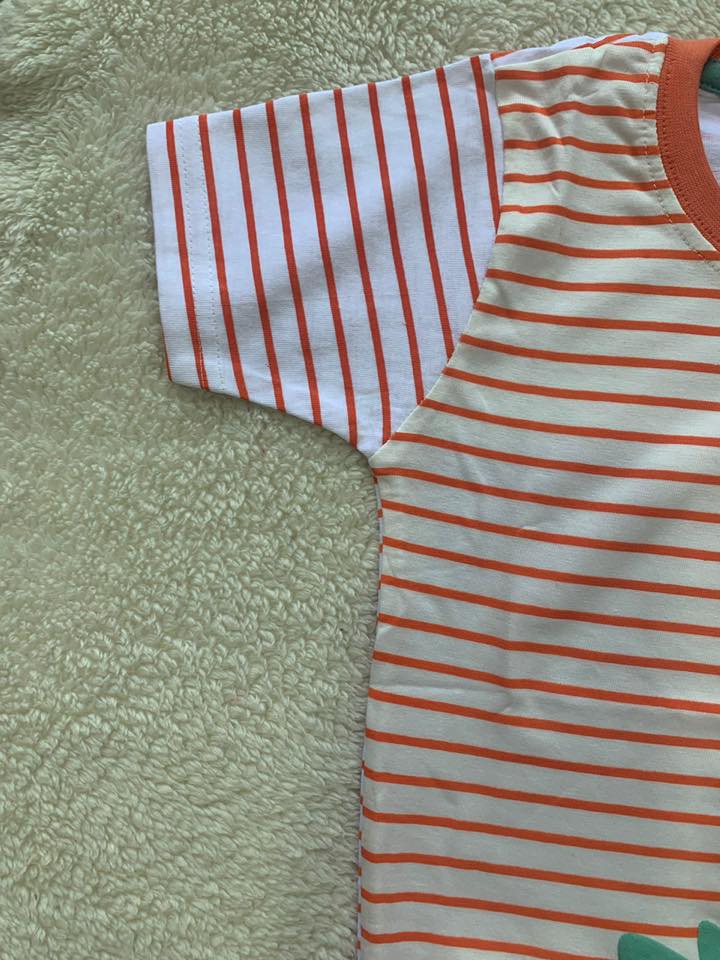 Dino-Mite Stripe Set